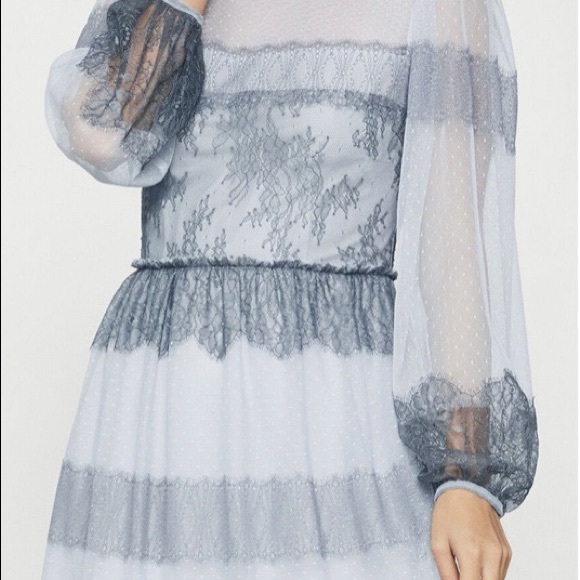 BCBG Maxazria Two-Tone Panel Lace Tulle Dress - Picture 8 of 10